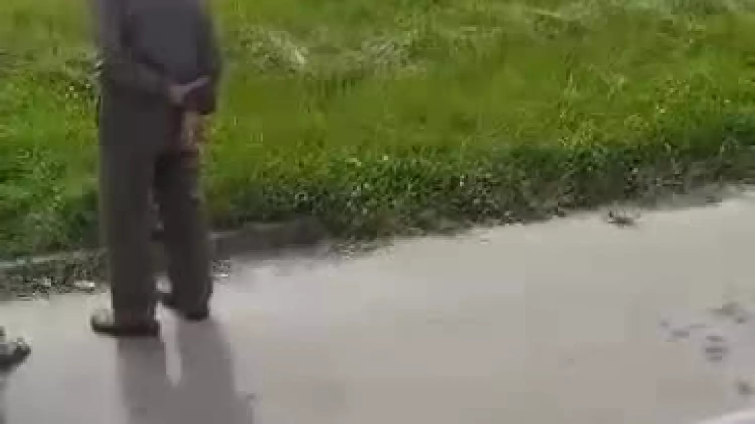 357638896-6367061760048453-4274488708227464550-n.mp4