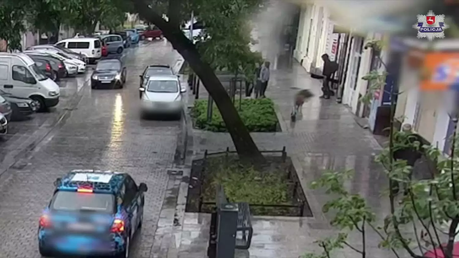 Pies wyskoczył z II piętra i spadł na idącą chodnikiem kobietę [FILM]