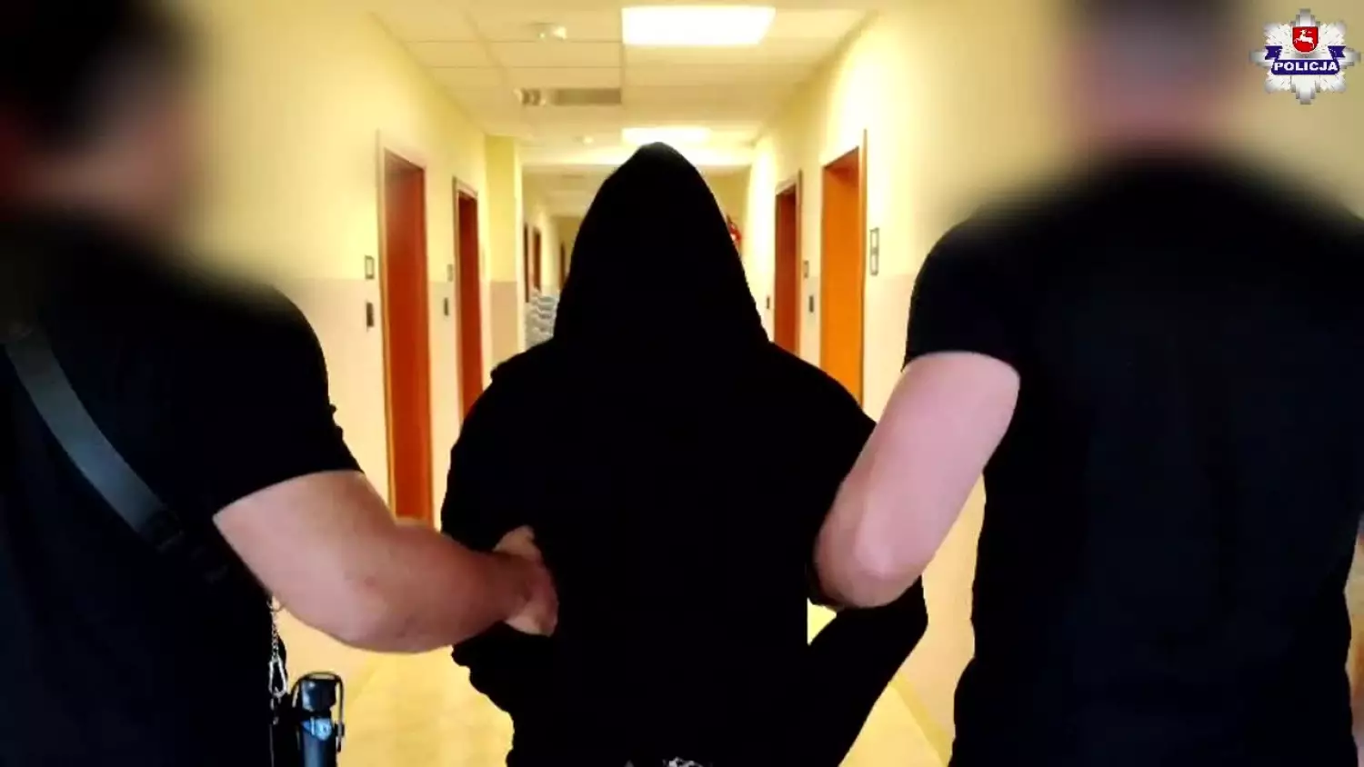 Lubelskie: W dwa dni policjanci zatrzymali 117 poszukiwanych [FILM]