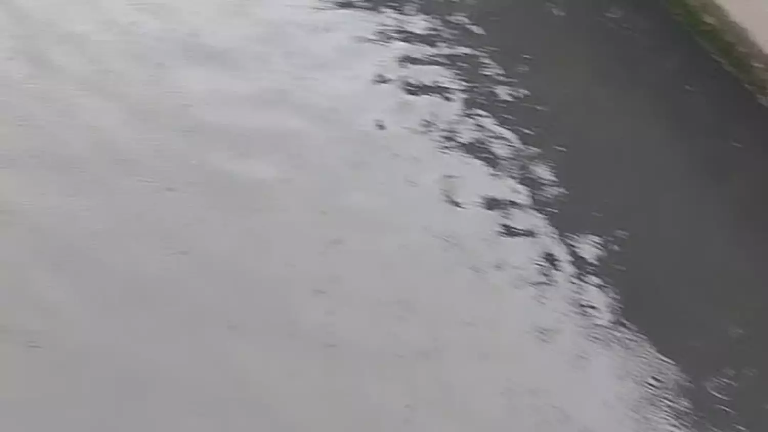 zanieczyszczenie-ryby-stankow.mp4