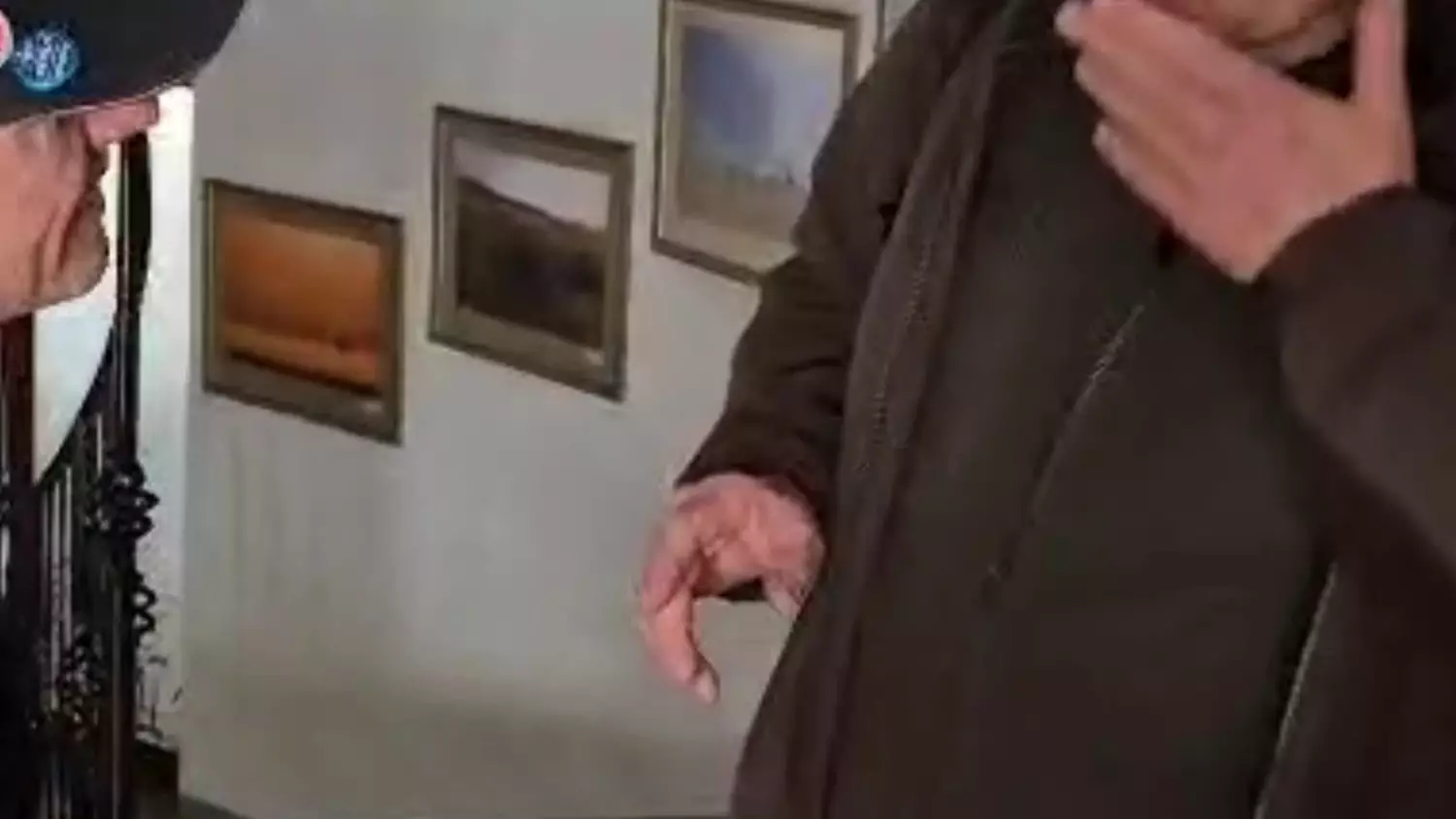 Pięć osieroconych wiewiórek trafiło pod opiekę specjalistów [FILM]